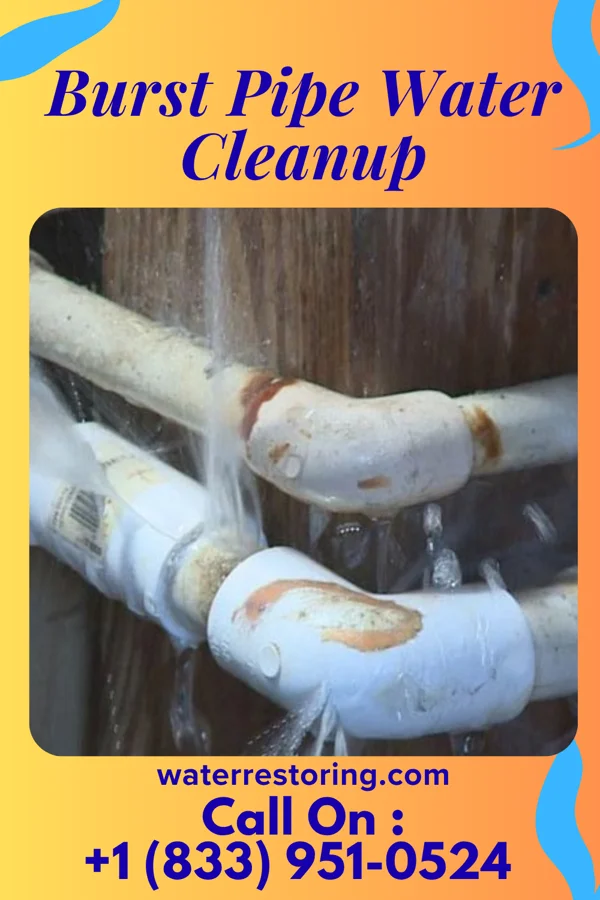 Burst Pipe Water Cleanup in Aberdeen, OH