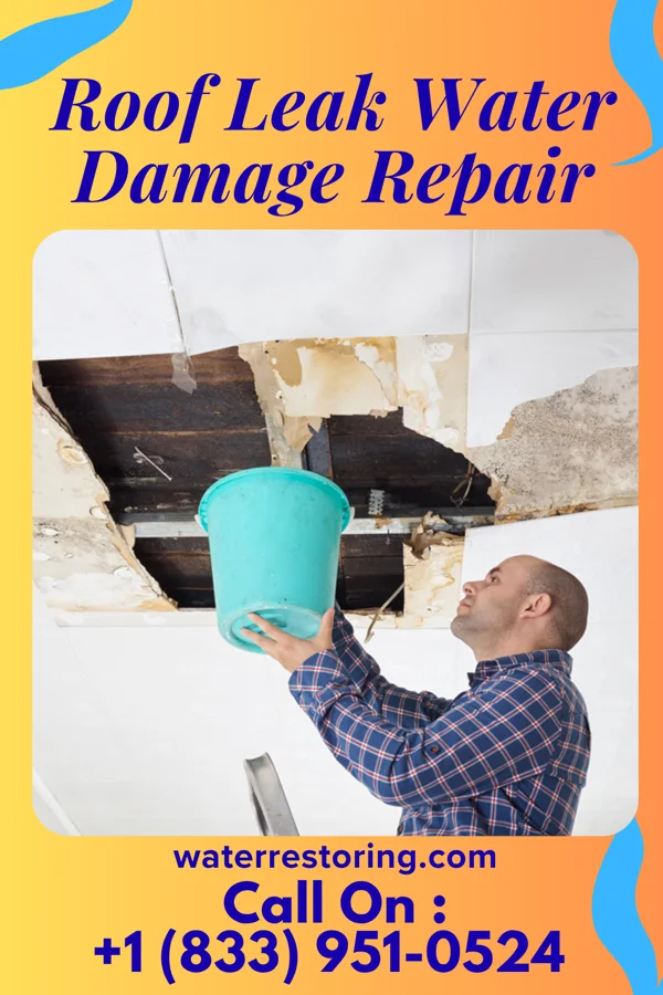 Roof Leak Water Damage Repair in Aberdeen, OH