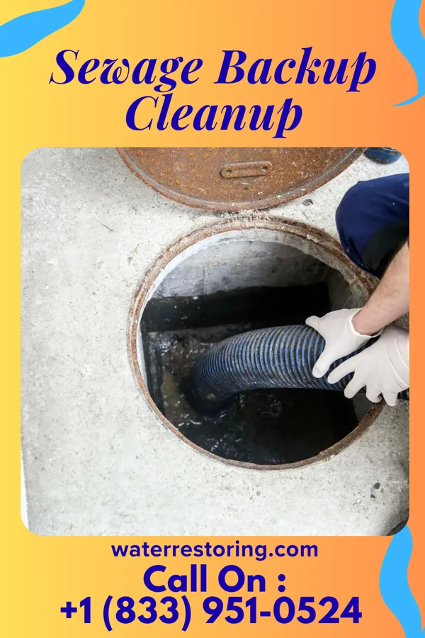Sewage Backup Cleanup in Aberdeen, OH